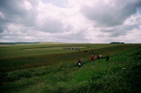 kruh v obilí