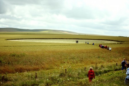 Kruh v obilí